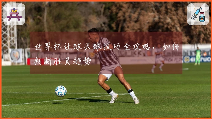 世界杯让球买球技巧全攻略，如何判断胜负趋势