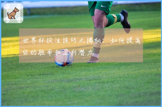 世界杯投注技巧大揭秘：如何提高你的胜率和盈利潜力