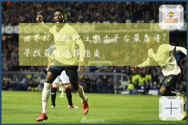 世界杯买球投注哪个平台最靠谱？寻找最佳选择指南