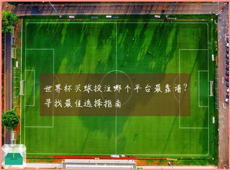世界杯买球投注哪个平台最靠谱？寻找最佳选择指南