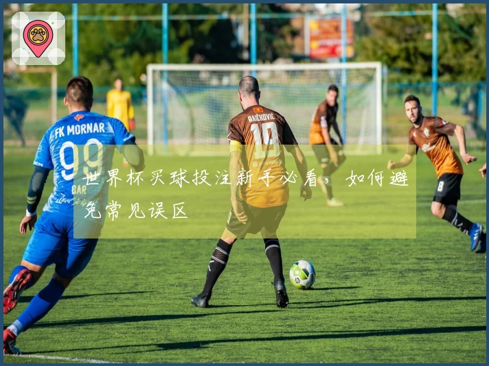 世界杯买球投注新手必看，如何避免常见误区