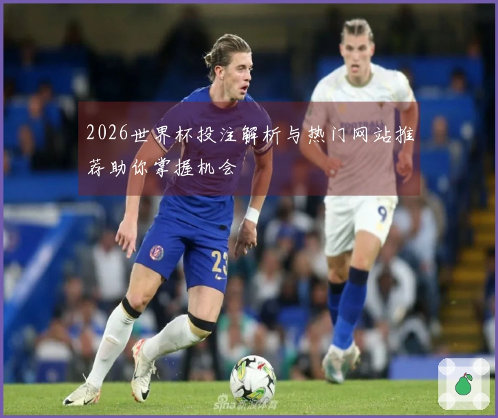 2026世界杯投注解析与热门网站推荐助你掌握机会