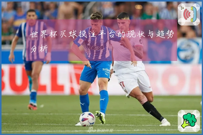 世界杯买球投注平台的现状与趋势分析