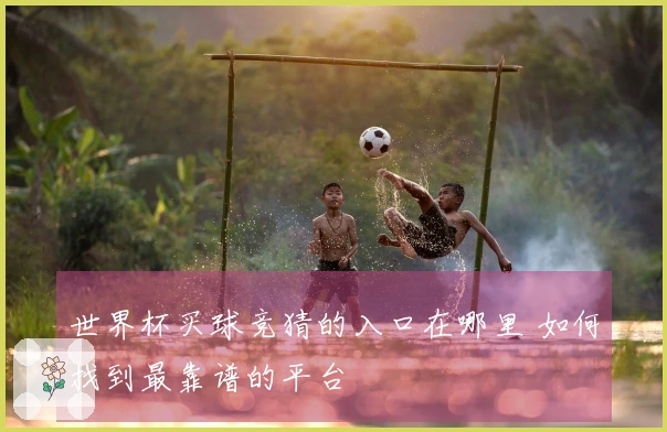 世界杯买球竞猜的入口在哪里 如何找到最靠谱的平台