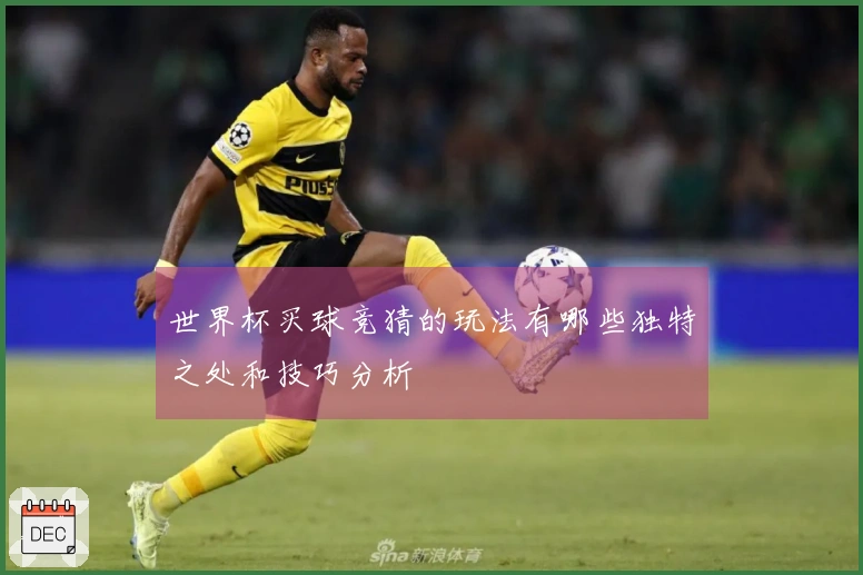 世界杯买球竞猜的玩法有哪些独特之处和技巧分析