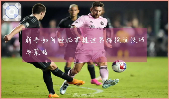 新手如何轻松掌握世界杯投注技巧与策略