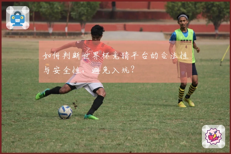 如何判断世界杯竞猜平台的合法性与安全性,避免入坑?