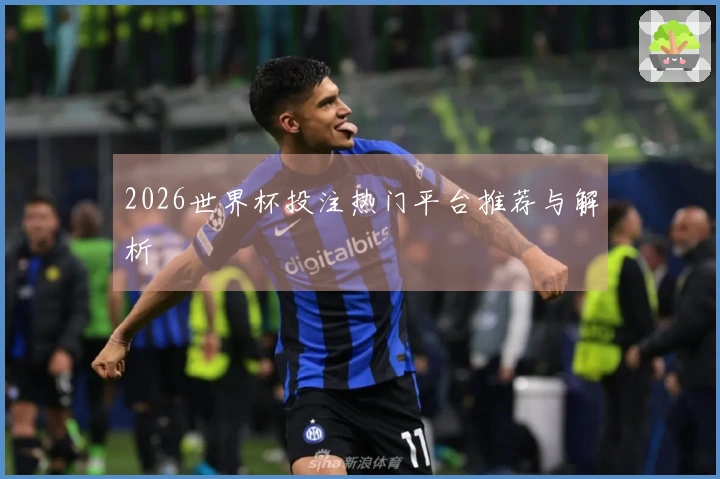 2026世界杯投注热门平台推荐与解析