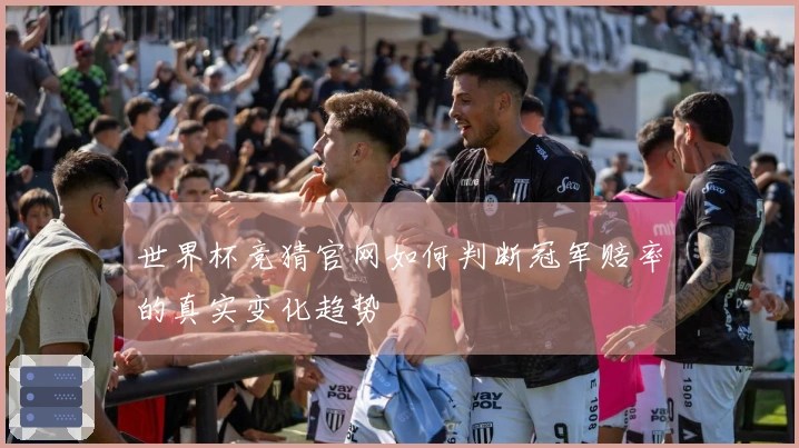 世界杯竞猜官网如何判断冠军赔率的真实变化趋势