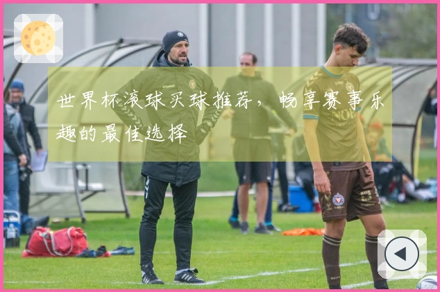 世界杯滚球买球推荐，畅享赛事乐趣的最佳选择