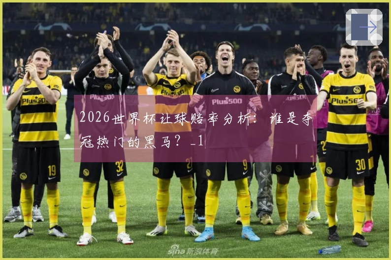 2026世界杯让球赔率分析：谁是夺冠热门的黑马？_1
